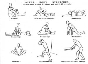 lower-body-stretches